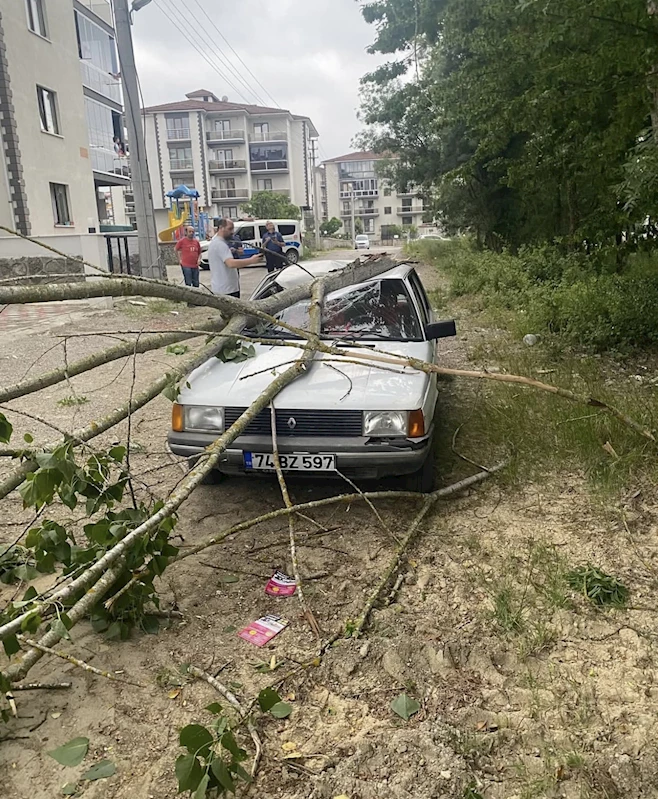 Bartın