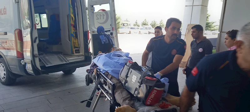 15 yaşındaki çocuk çobanı vurdu; tüfeği almaya çalışan kendi babası da yaralandı