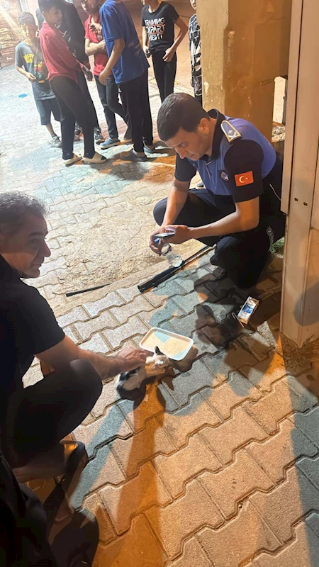 Reklam panosunda mahsur kalan yavru kediyi zabıta ekipleri kurtardı
