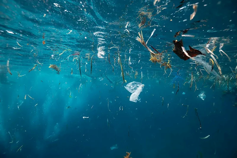 Okyanusun her katmanında mikroplastik bulundu