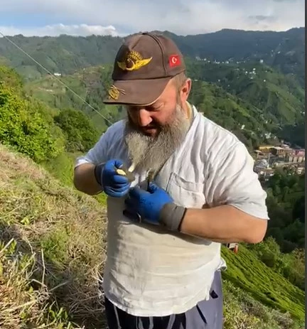 Bahçede yakaladığı yılanı boynuna doladı