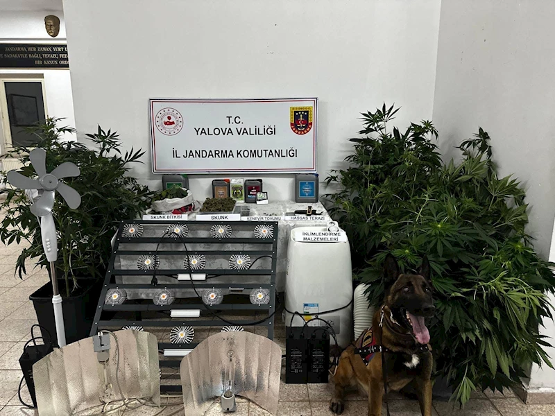 Evinde uyuşturucu imal eden şüpheli tutuklandı