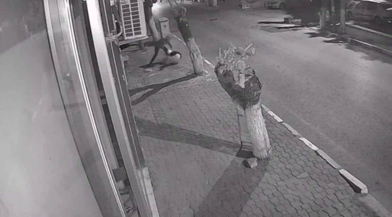 İzmir - Komşusunun boynundan bıçakladığı Betül: Hala kabuslar görüyorum /Video eklendi 