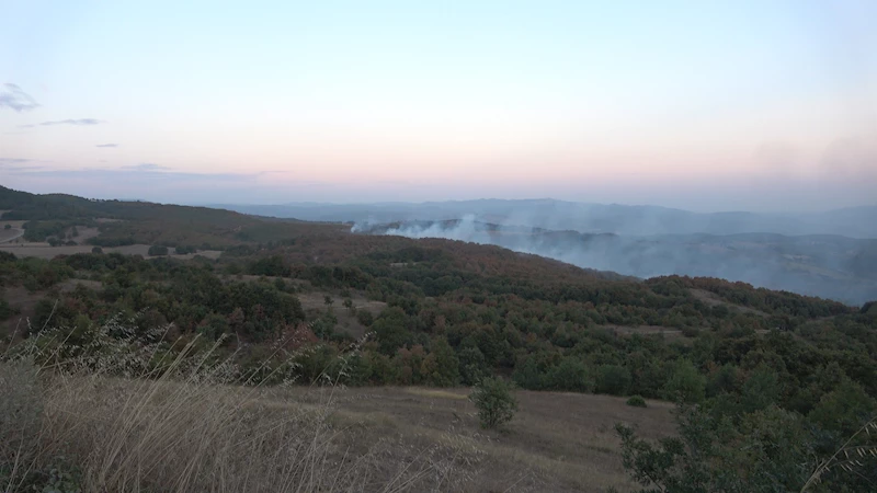 Kocaeli