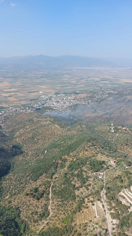 Aydın