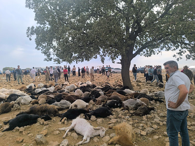Şırnak