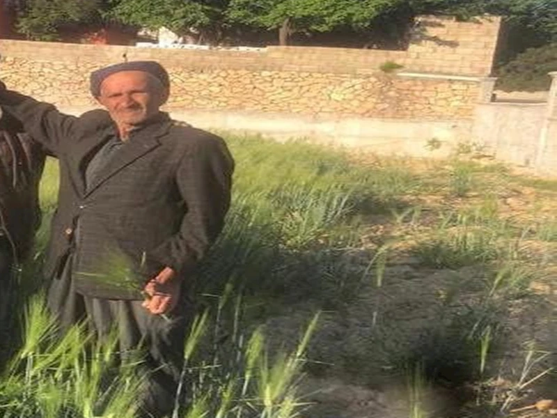 1 kişinin öldüğü akraba ailelerin silahlı 