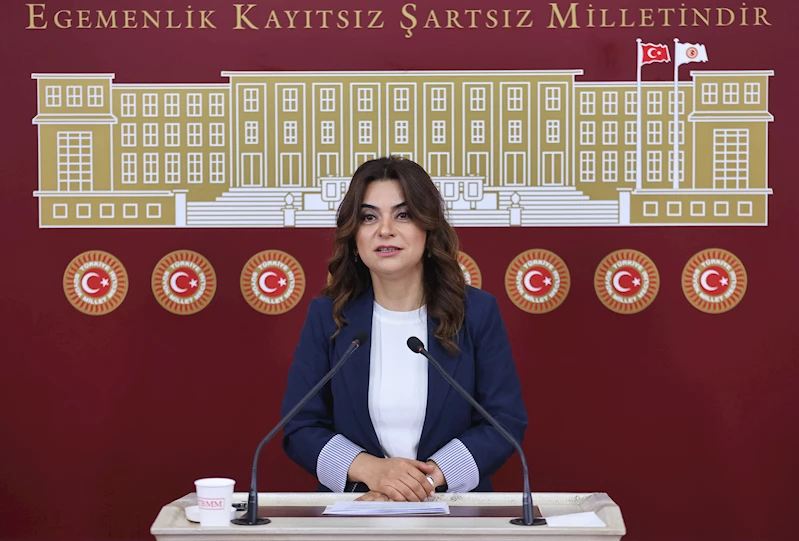 DEM Parti