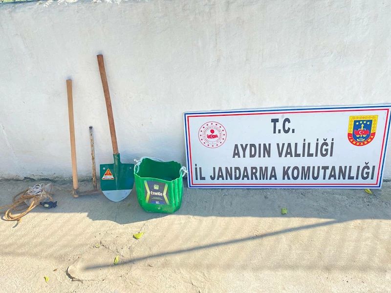 Aydın