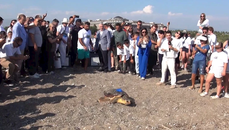 Uydu izleme cihazı takılan 2 deniz kaplumbağası denize salındı