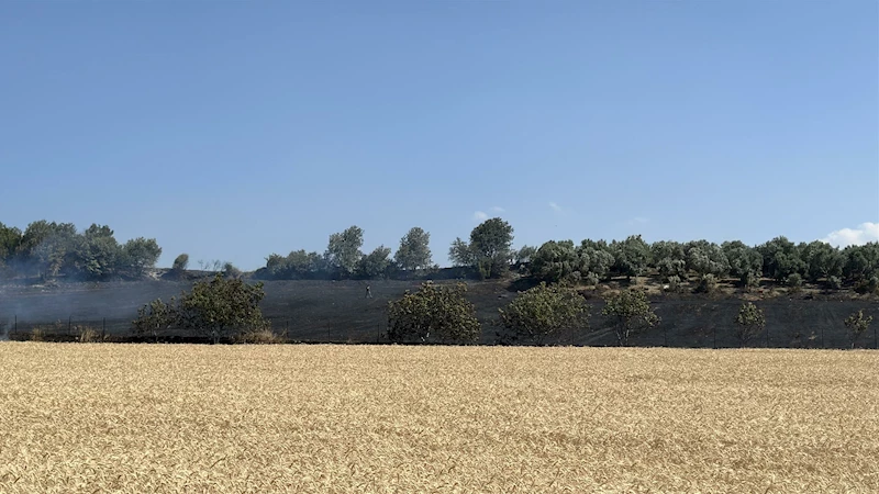 Çanakkale’de tarım arazisinde yangın (2)
