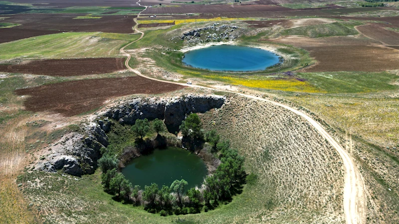 Sivas