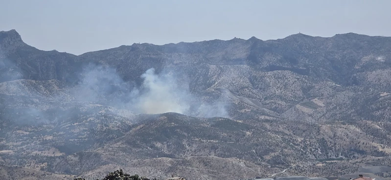Şırnak