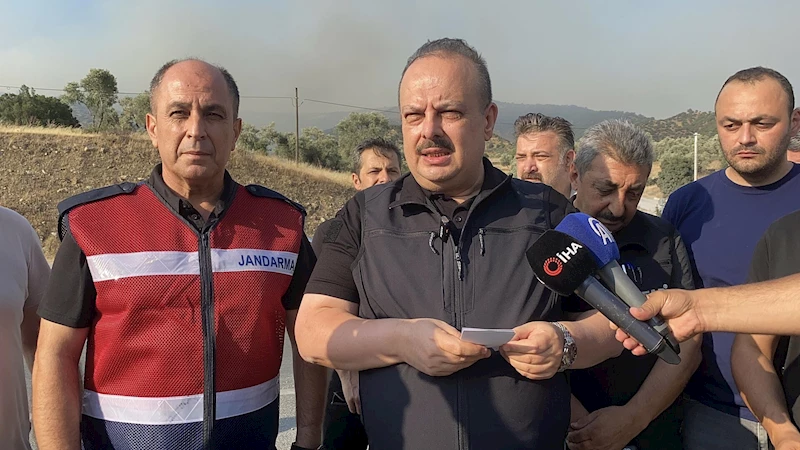 Aydın