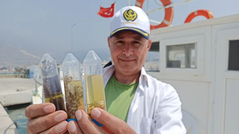 3 üniversiteden Doğu Akdeniz