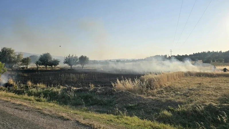 Gediz’de çıkan tarla yangınında, 5 dönüm ekili alan küle döndü