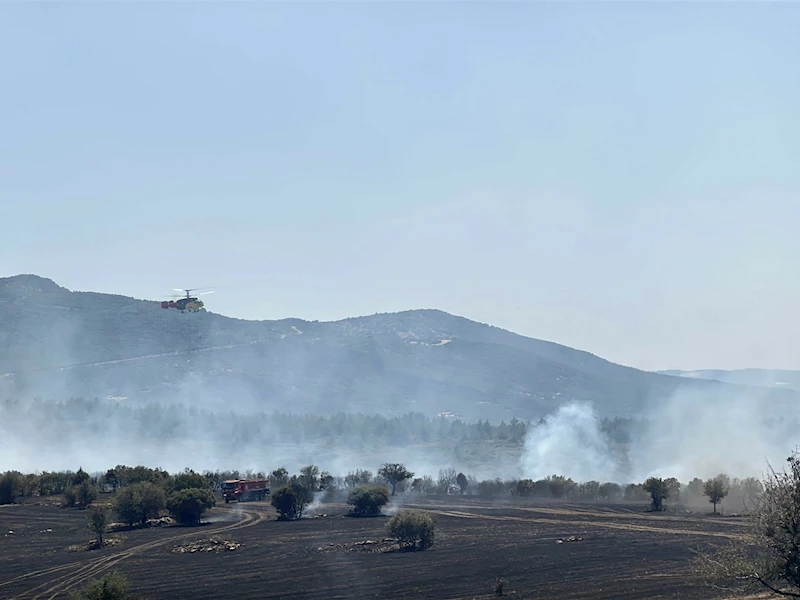 Uşak