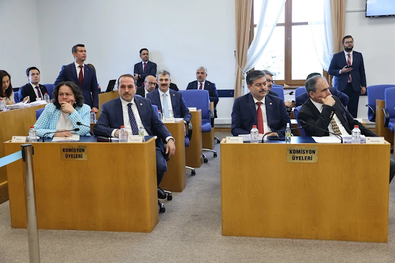 Vergi düzenlemelerini içeren kanun teklifi, Plan ve Bütçe Komisyonu