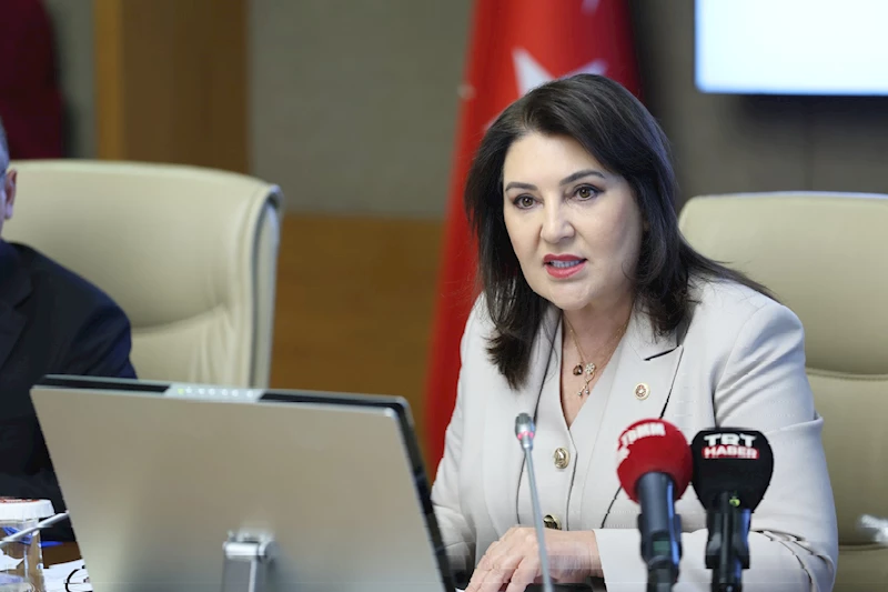 Kamu Denetçiliği Kurumu