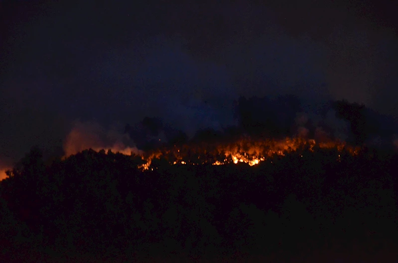 Sakarya’da orman yangını (4)