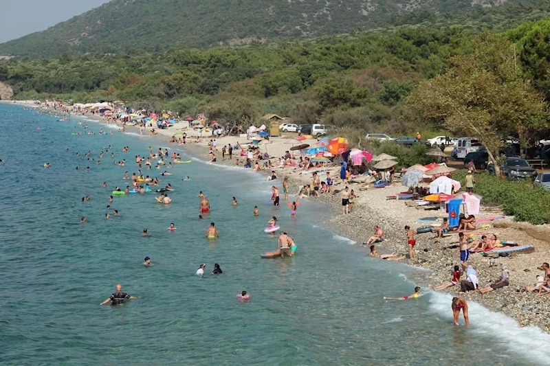 Aydın