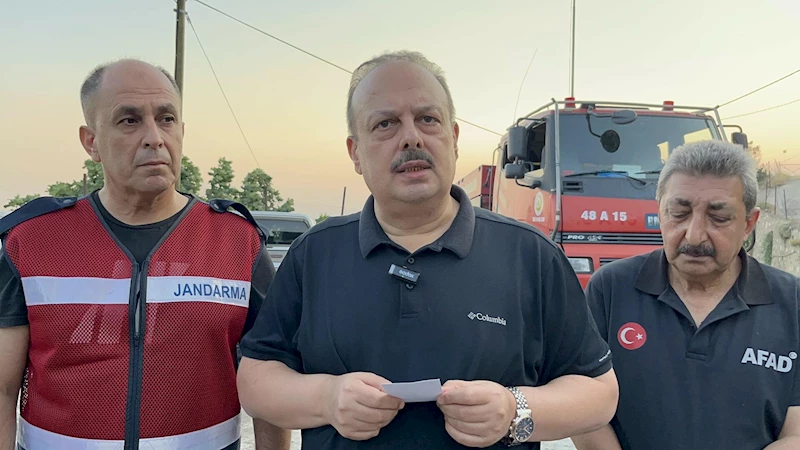 Aydın’da orman yangını (2)