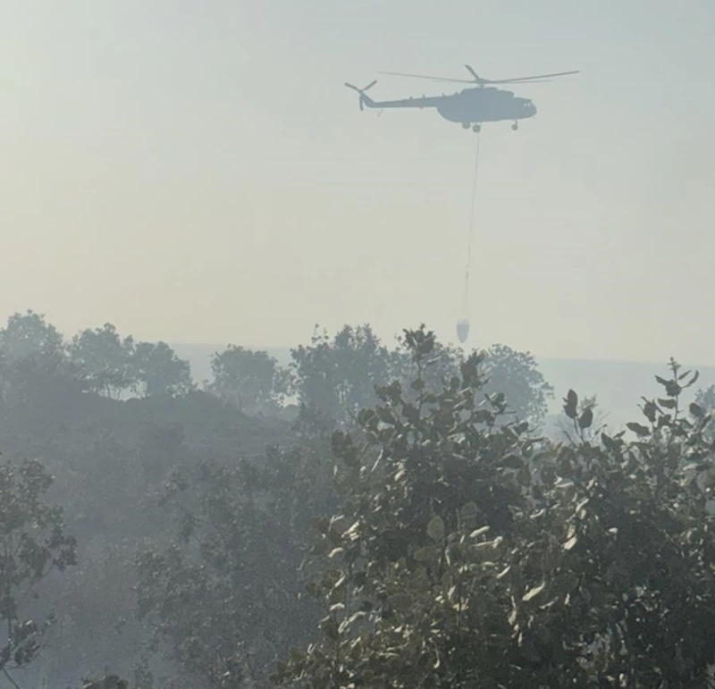 Mardin’de örtü yangını (2)