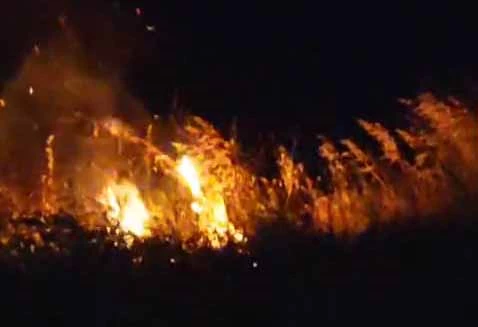 Havai fişek ormanı yaktı; düğündekiler tahliye edildi