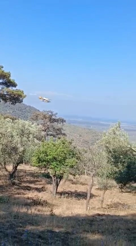 Balıkesir