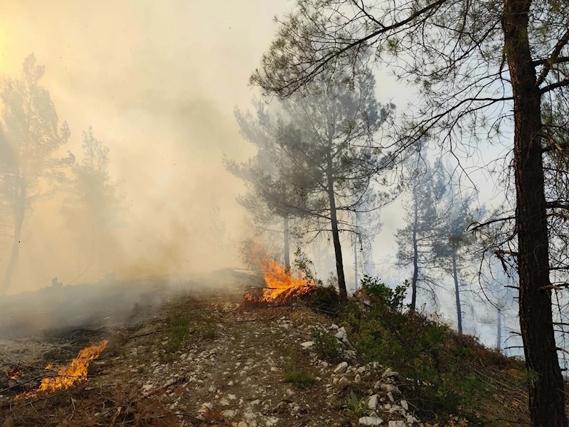 Balıkesir