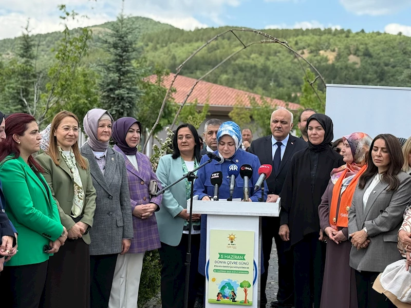 Ankara- AK Parti