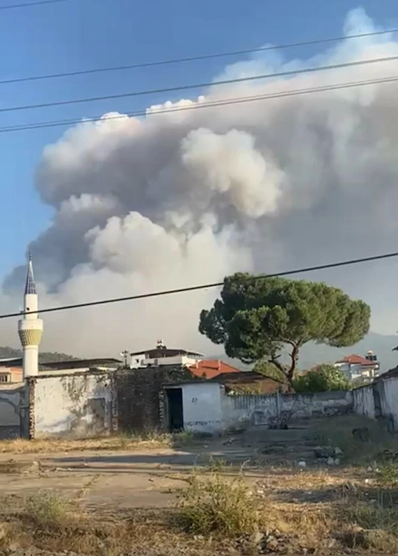 Manisa