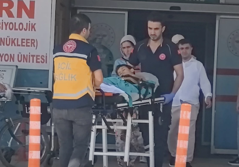 Kurban kesilen bahçede bıçağın üzerine düşen Çınar ağır yaralandı