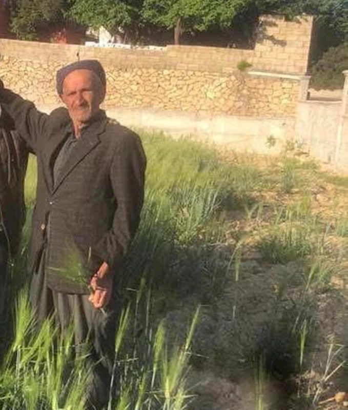 Akraba ailelerin silahlı 