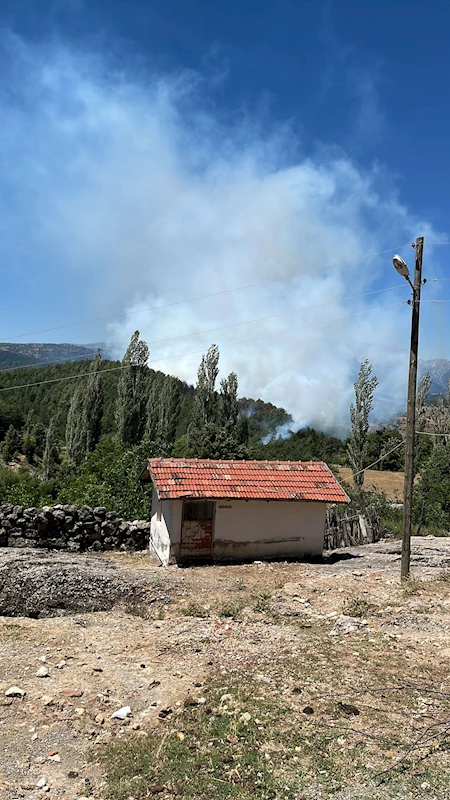 Isparta