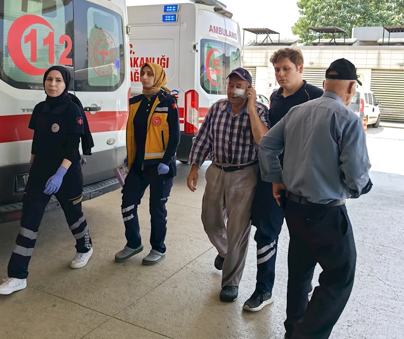 Kendisini hortumla ıslatmayı reddeden bahçıvanı darbetti