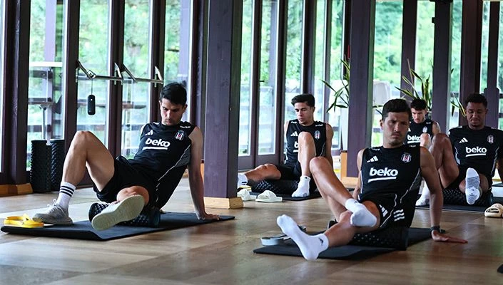Beşiktaş, Avusturya