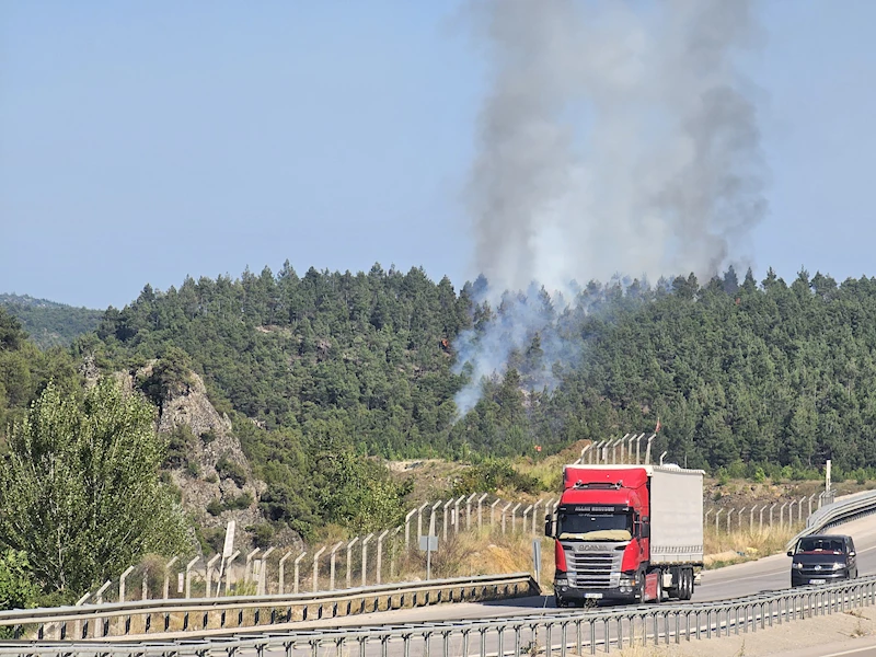 Tokat’ta orman yangını