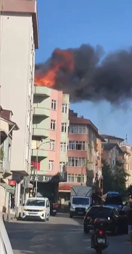 İstanbul- Pendik