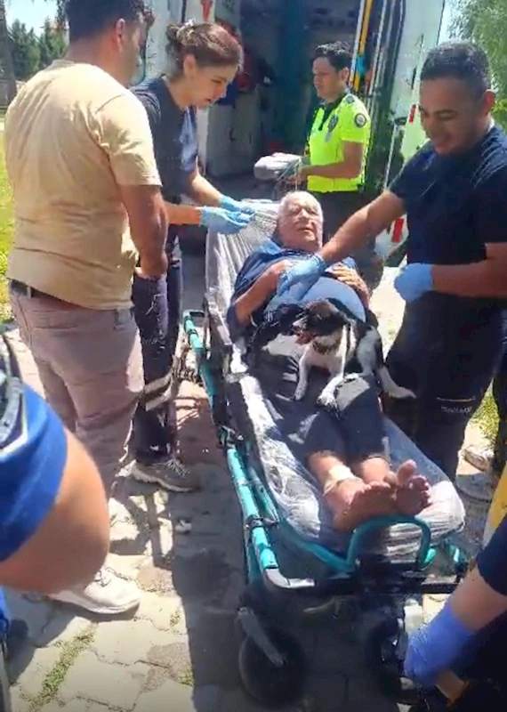 Kazada yaralanan sahibini ambulansta da yalnız bırakmadı