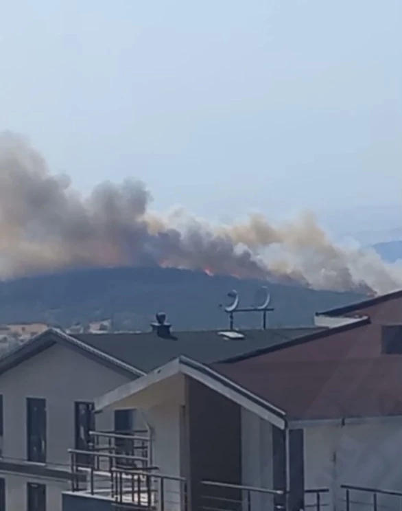 Bursa’da orman yangını