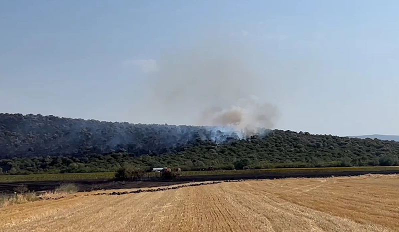 Bursa’da orman yangını (2)