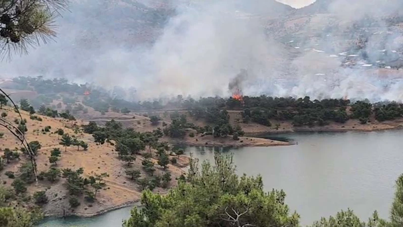 Adıyaman’da orman yangını