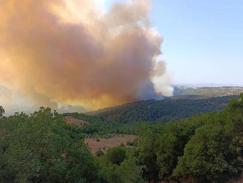 Balıkesir