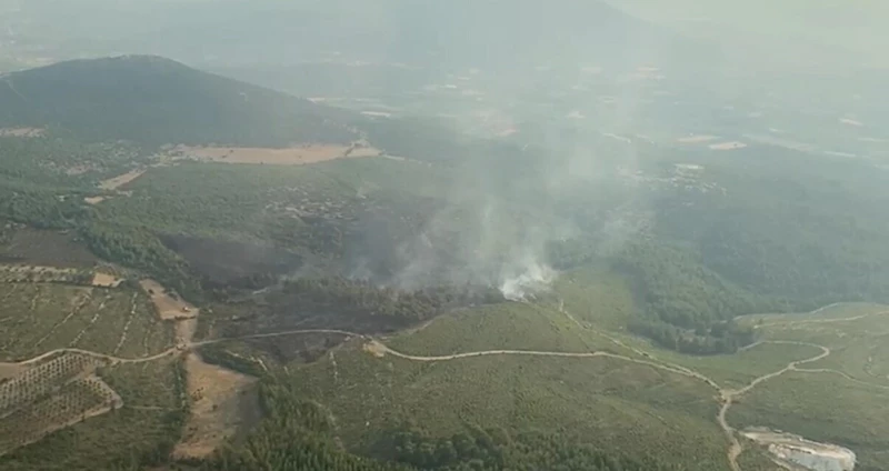 Muğla’da orman yangını (2)