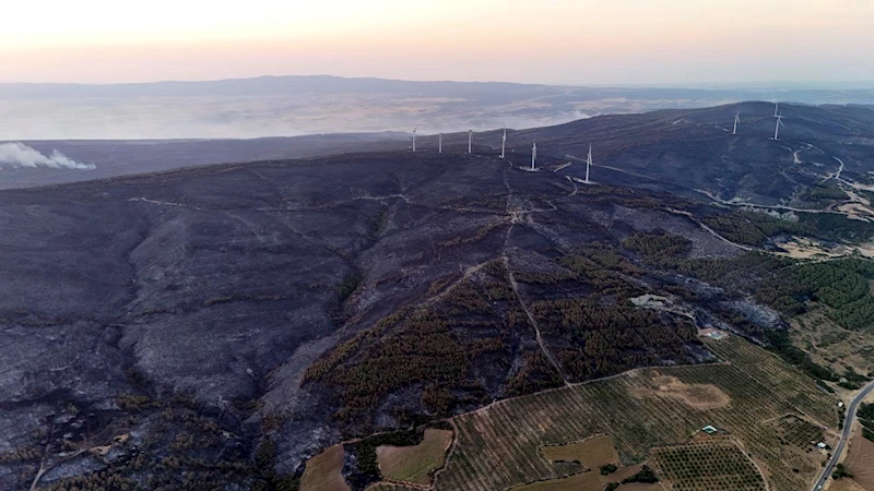 Tekirdağ’da orman yangınında 2’nci gün (5)