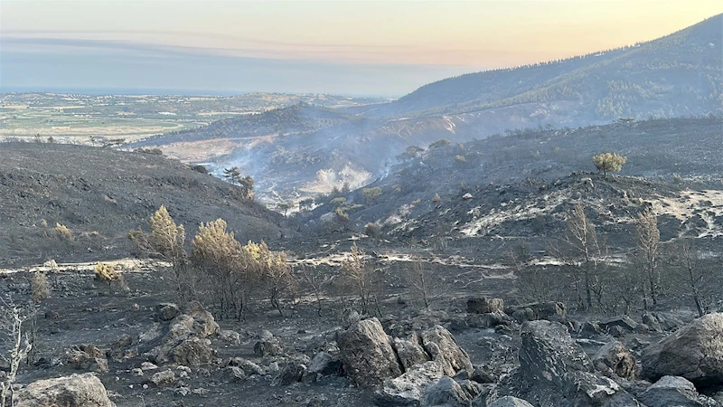 Çanakkale’deki orman yangını 2