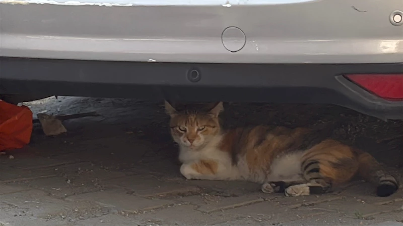 İstanbul - Kağıthane