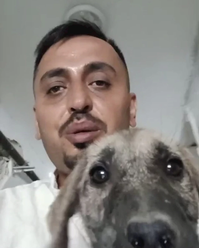 Ağır hasarlı binaya girip yavru köpeği kurtardı