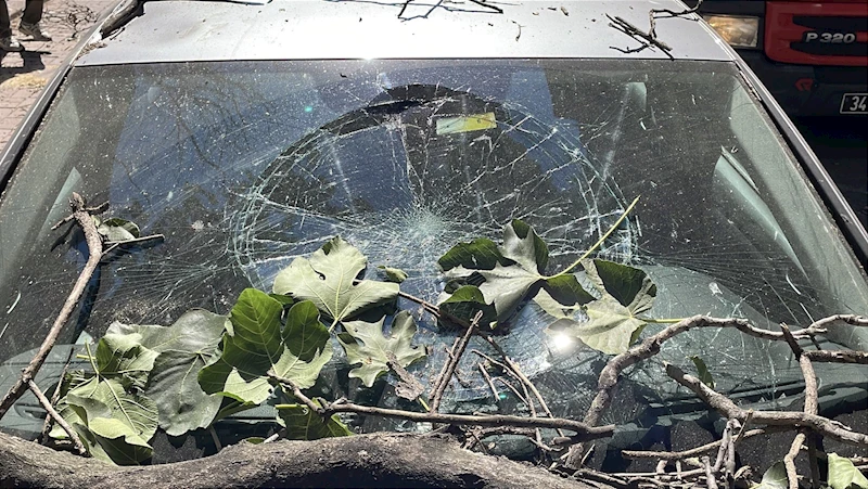 İstanbul - Şişli’de kurumuş ağaç dalı aracın üzerine düştü; bir kişi son anda kurtuldu 